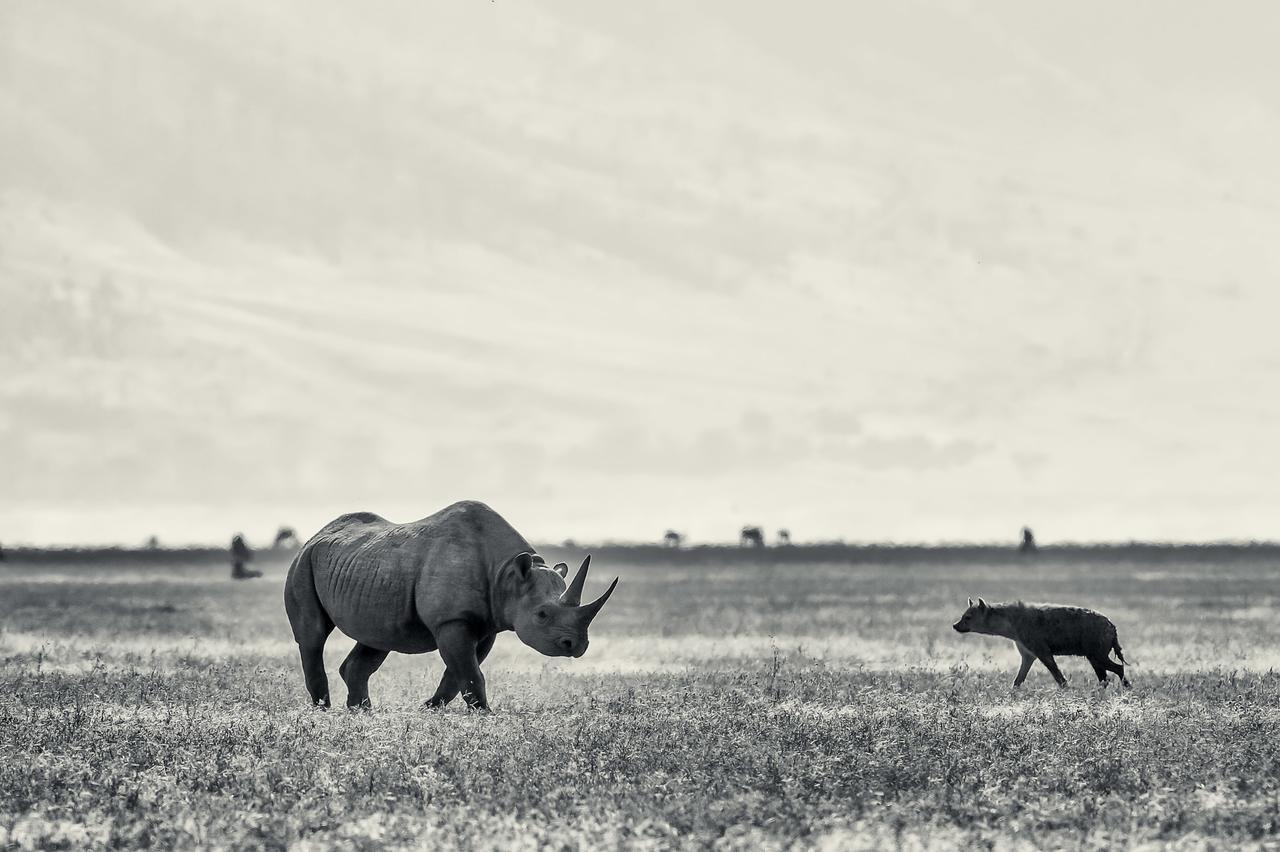 Ngorongoro Serena Safari Lodge Экстерьер фото