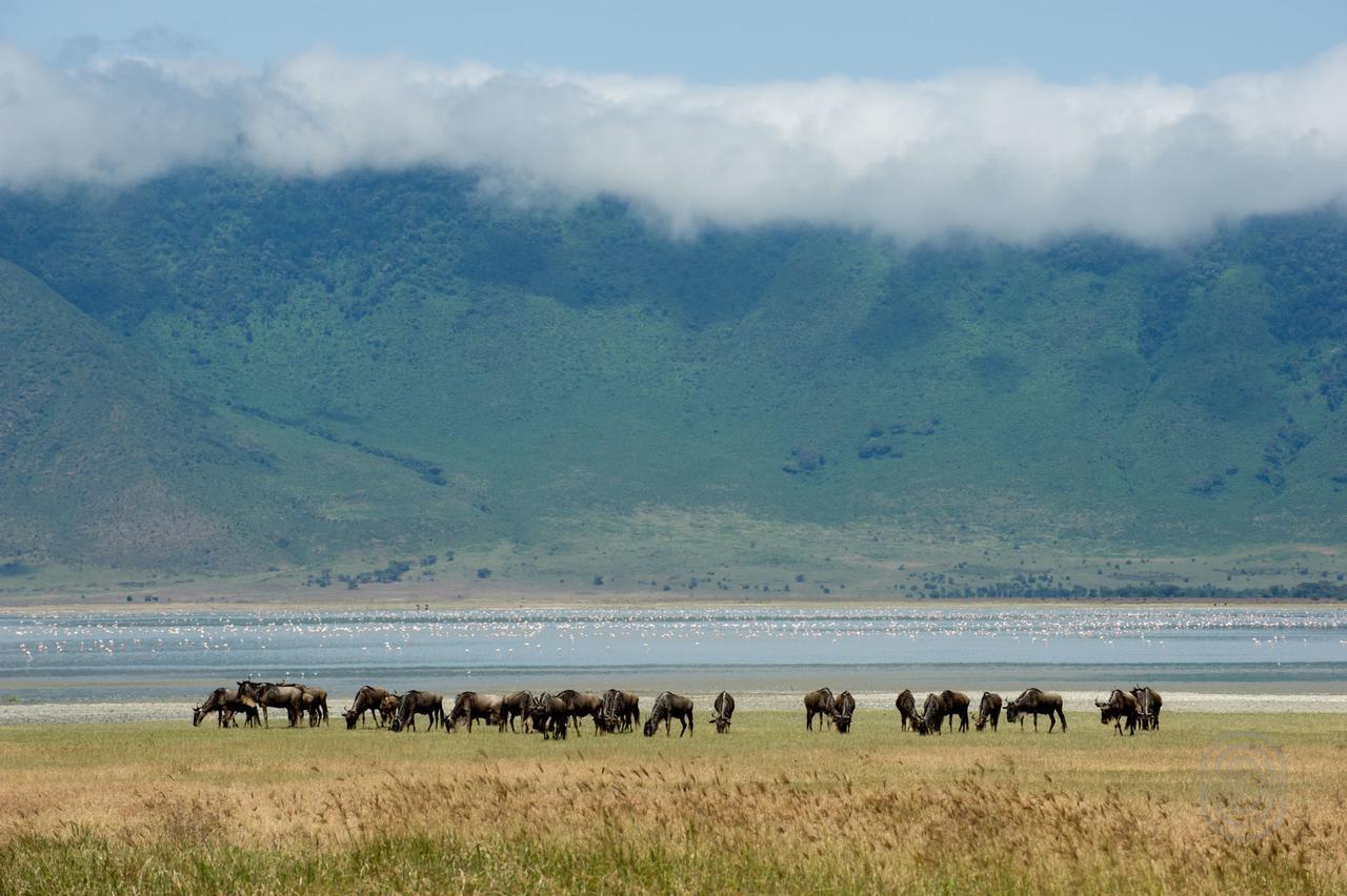 Ngorongoro Serena Safari Lodge Экстерьер фото